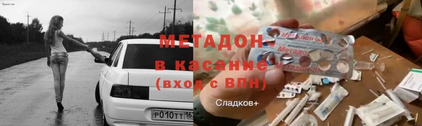 ГАЛЛЮЦИНОГЕННЫЕ ГРИБЫ Богданович