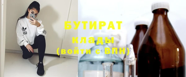 ГАЛЛЮЦИНОГЕННЫЕ ГРИБЫ Богданович