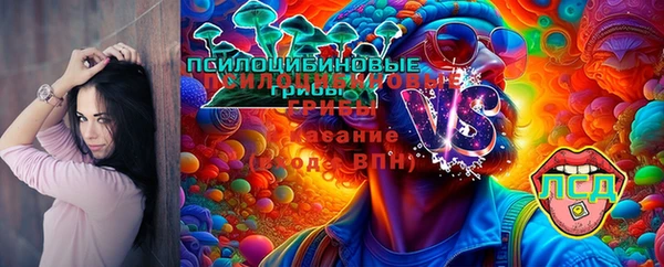 спайс Богородицк