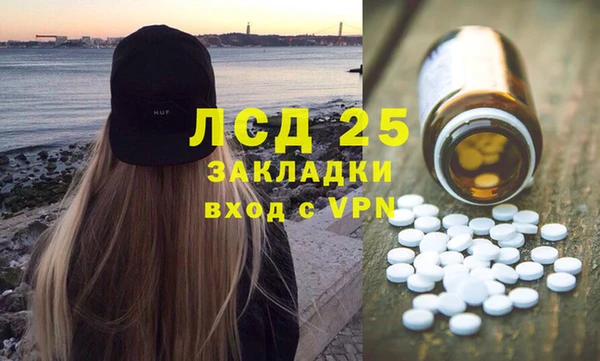 ГАЛЛЮЦИНОГЕННЫЕ ГРИБЫ Богданович